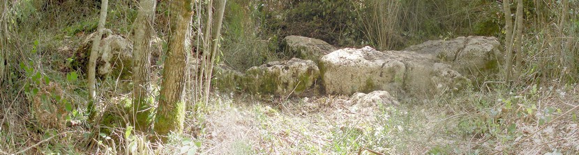 Pano